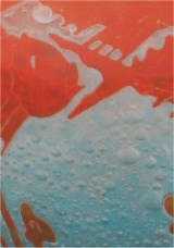 Exposition Conches Schneider Vase Poissons_5